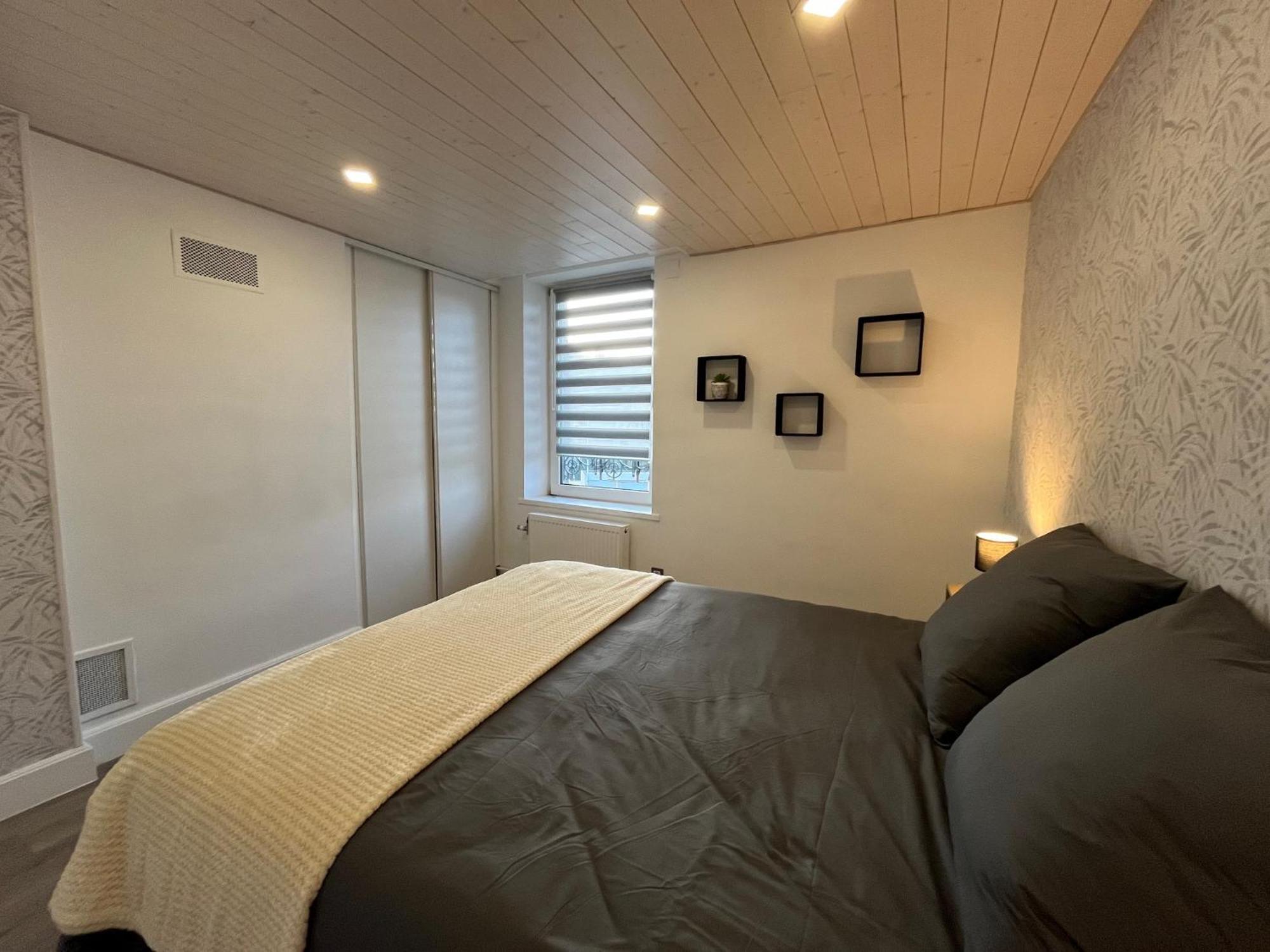 Saint-Die-des-Vosges Appartement St Eloi 75M² מראה חיצוני תמונה